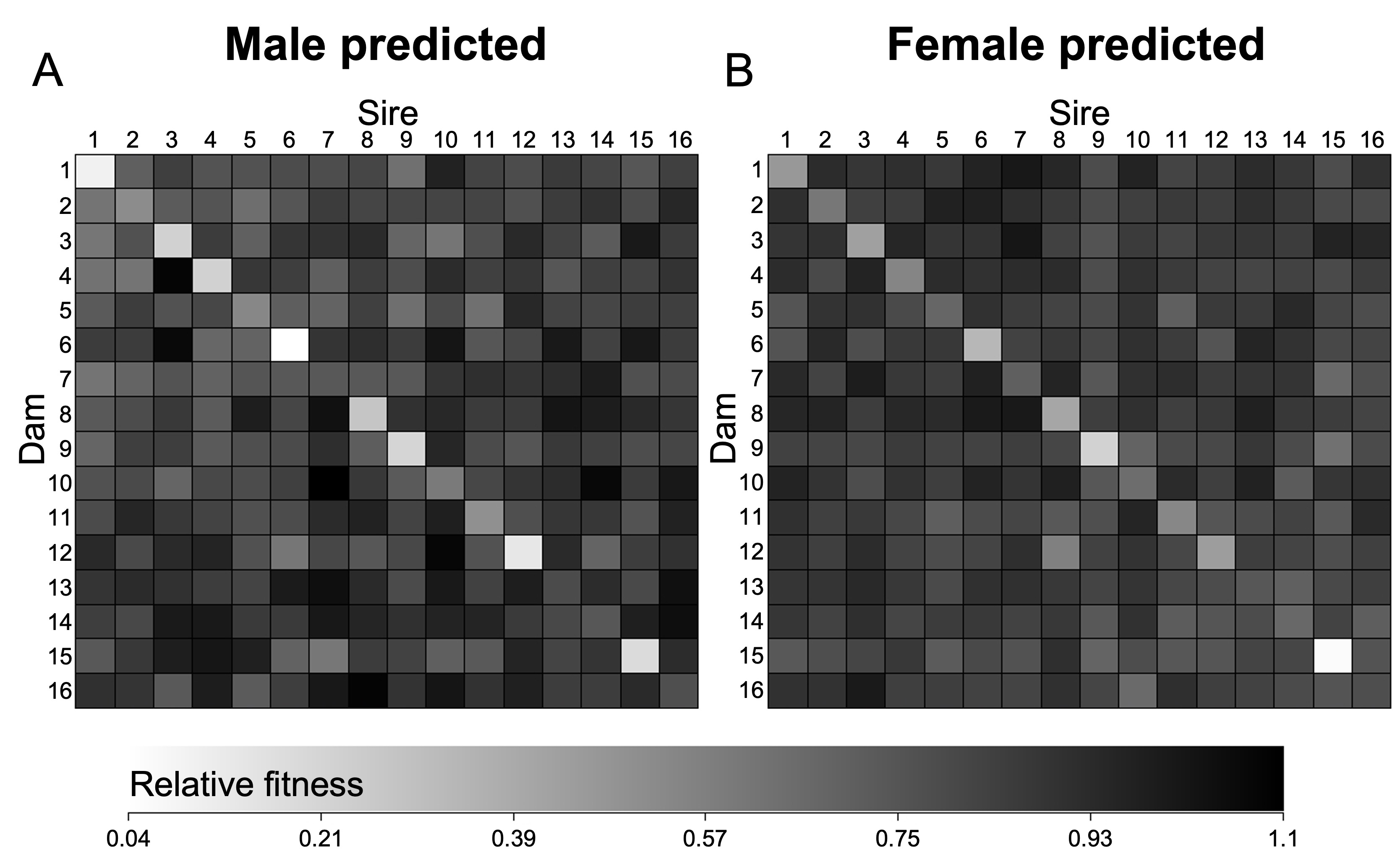 Diallel heatmap