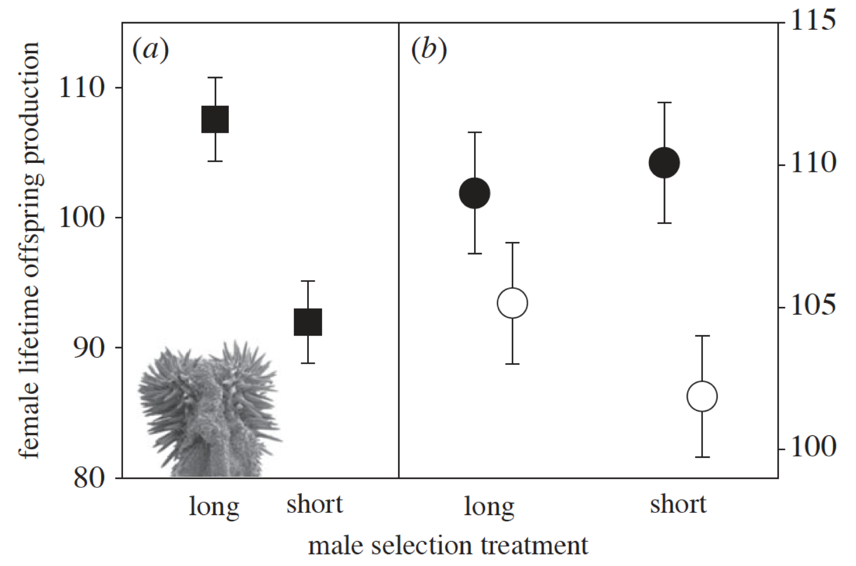 Long-term team effort out now in Proc B