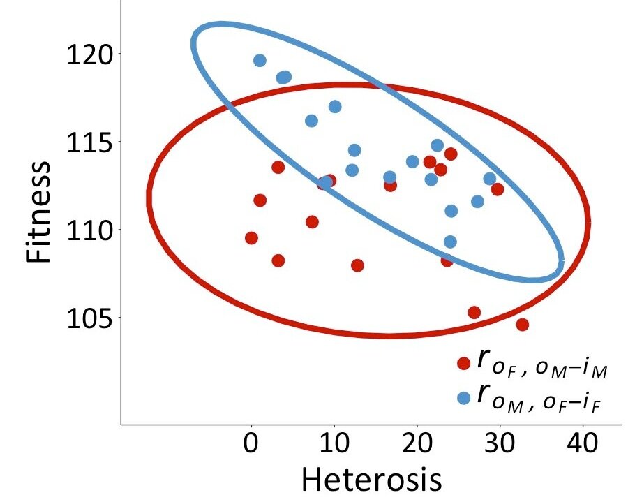 Out in Evolution Letters