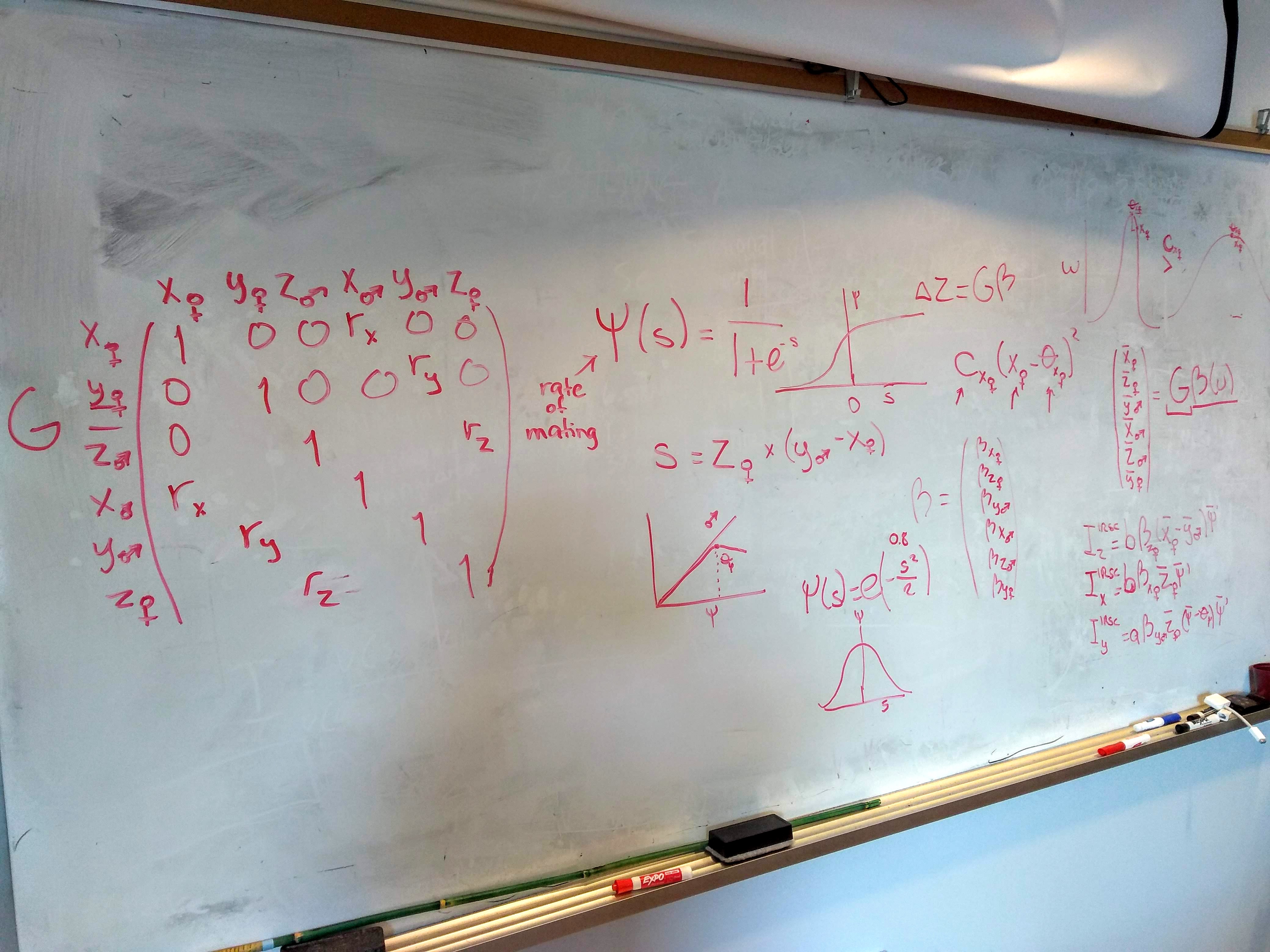 Tania quantitative genetics equations