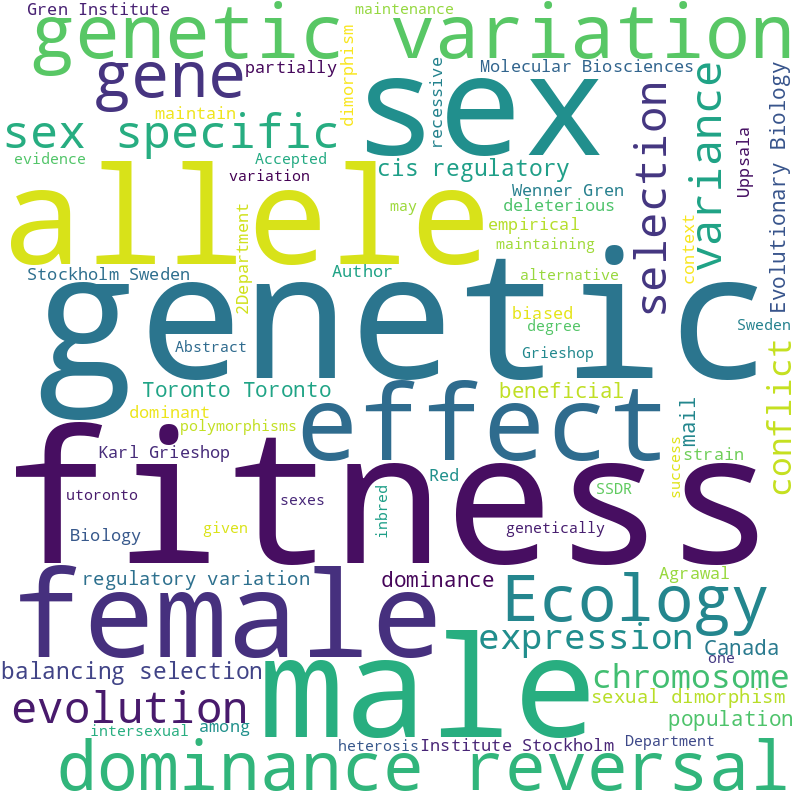 wordcloud